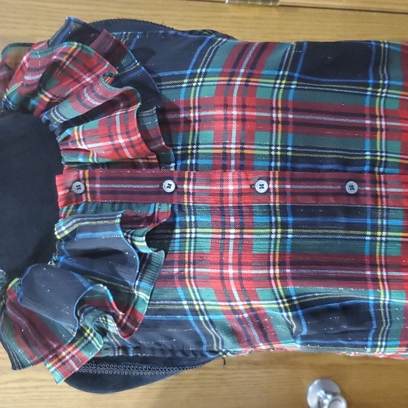 J. Crew Tops - J crew ruffled collar sheer plaid top with built in camisole metallic Threads
